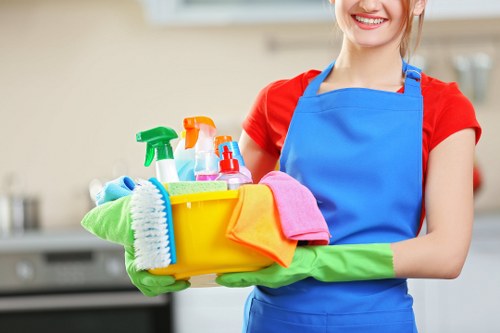 Professional mattress deep cleaning equipment in Tooting