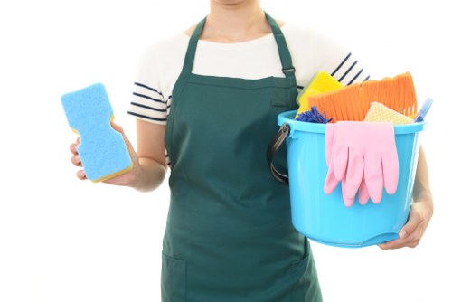 Professional hard floor cleaning service for homes and businesses in Tooting