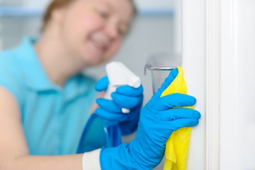 Deep cleaning equipment used for pet stain odour removal in Tooting