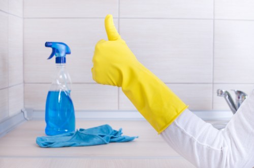 Deep cleaning oven racks and interior surfaces in Tooting