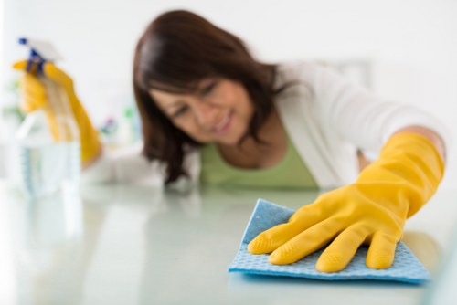 Oven cleaning service for a busy kitchen in Tooting