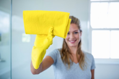 Professional local cleaner working in a Tooting property