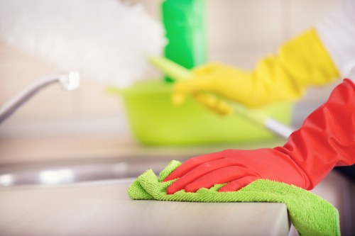 Roofline gutter cleaning service in Tooting